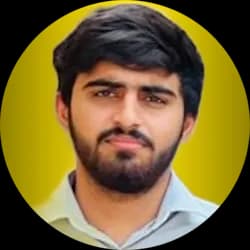 Ali Hamza - CRM & Dashboard Developer