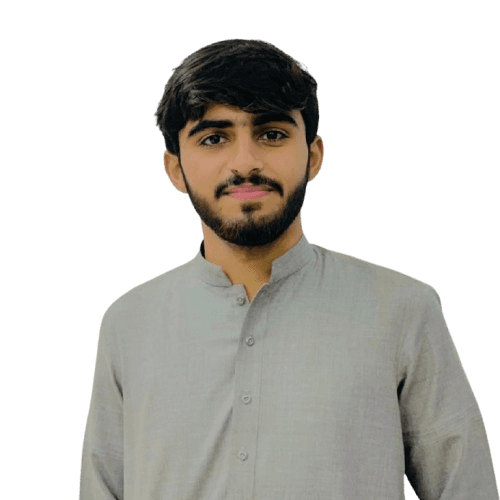Ali Hamza - Full Stack Developer